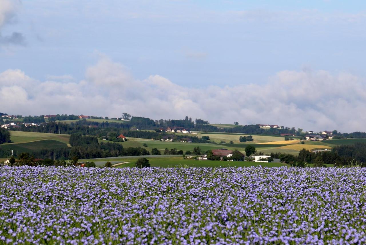 Ferienhof Neundlinger Niederwaldkirchen Bagian luar foto